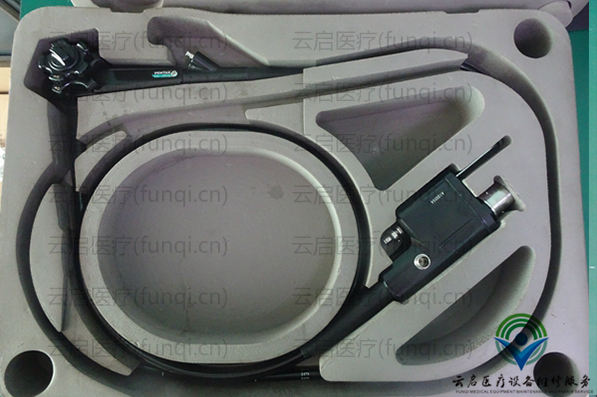 Pentax EG-291C 胃鏡 600小 水印 1050.jpg